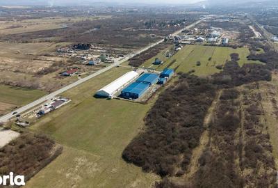 Teren de 7194 mp, în Carașova - 8