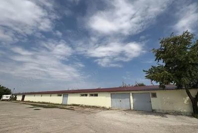 Spațiu comercial, de 200 mp, în Siliștea Snagovului - 3