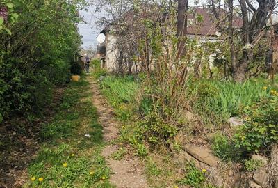 Casă cu Teren 1600 Mp în Dumbrăvești - 2
