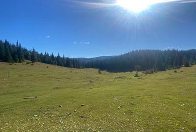 Teren de 16257 mp, în Beliș - 5