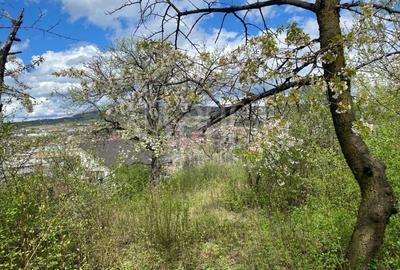 Teren Construcții intravilan de 4812 mp, în Gruia - 1