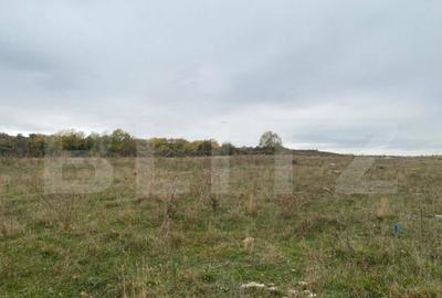 OPORTUNITATE! Teren intravilan 500 mp cu PUZ, zona CREIC, Ir - 2