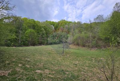 Teren superb, intravilan - la marginea padurii ! - 4