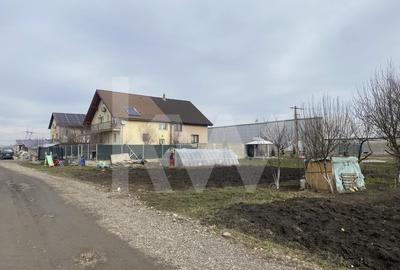 Teren Construcții intravilan de 500 mp, în Veterani - 6