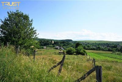 Teren agricol intravilan de 13725 mp, în Posmuș - 14