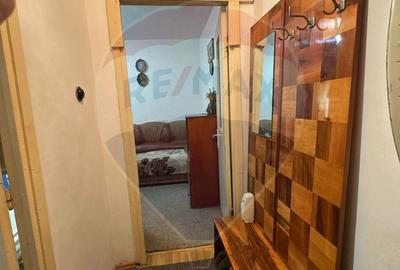 Apartament cu 2 camere semidecomandat în Valea Rosie - 2
