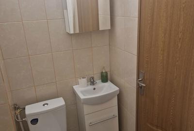 Garsonieră în Buziașului - 2
