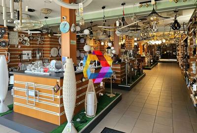 Casă plus Spațiu comercial  741 mp, Teren 906 mp Brasov - zona Blumana - 3