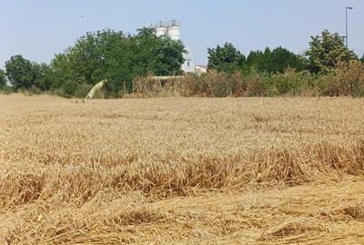 Teren agricol intravilan de 4000 mp, în Dimieni - 5