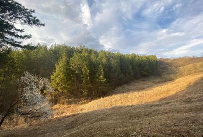 Spațiu comercial, în Mânzălești - 2