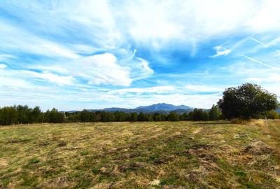 5800 mp fineata, pretabil camping, constructii A-frame, Sohodol, Bran - 6