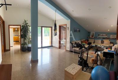 Vila individuala Erou Iancu Nicolae Vila individuala Erou Iancu Nicolae - 10