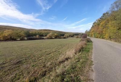 Spațiu comercial, în Cladova - 1