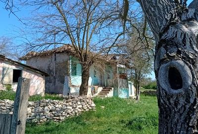 Vand casa batraneasca - 2