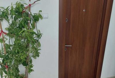 2 camere | birou - punct de lucru | Vasile Lascar | Dacia - 3