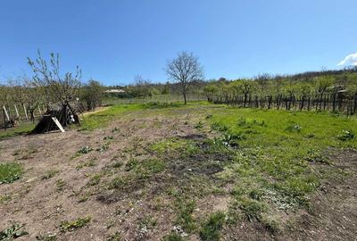 Casă cu 4 camere cu Teren 1450 Mp în Rediu - 8