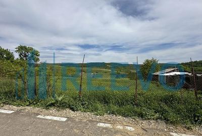 Teren de vanzare, Sat Valea Mare, Com. Ro?iori, Bacau - 2