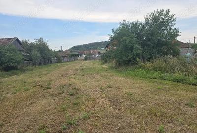 Casă cu 5 camere cu Teren 2670 Mp în Haieu - 2