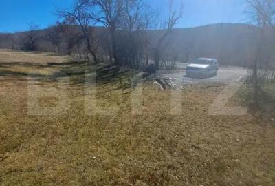 Teren de 5000 mp, în Almașu Mare - 1