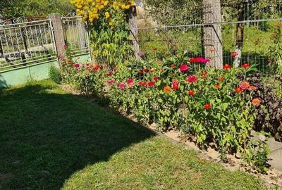 Casă cu 4 camere în Brebi - 2