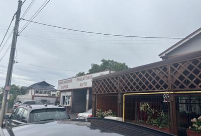 Spalatorie auto, spatii comerciale, b-dul N. Romanescu - 2