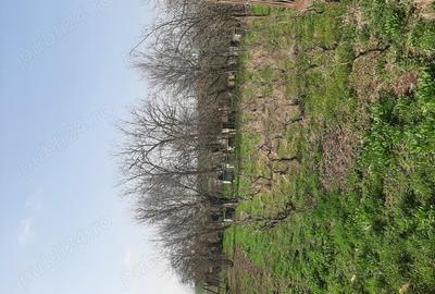 Casă cu 4 camere în Drăgănești-Vlașca - 3