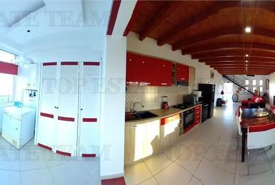 VILA CU PISCINA COSTINESTI - 12