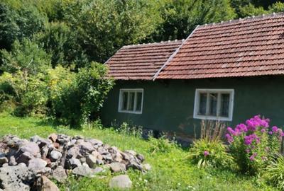 Vanzare casa si teren loca?ie de vis sta?iunea Moneasa - 1