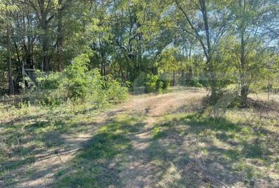 Teren de 900 mp, în Artego - 5