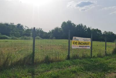 Teren construcție, în Sânnicolau Mic - 4