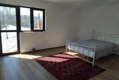 Casa cu 5 camere si teren de 524 mp in Romanesti - 2