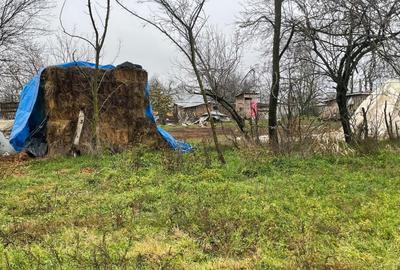 Teren Construcții intravilan de 3367 mp, în Butoiu - 8