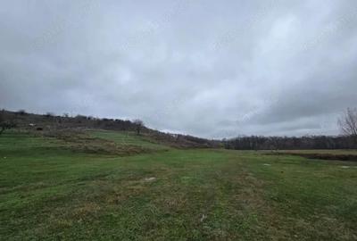 Teren 100.000 mp, Recea-Albota - 1