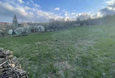 Teren de 1000 mp, în Șorogari - 5
