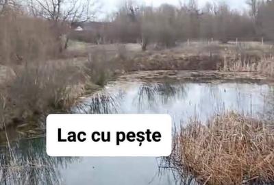 Spațiu comercial, în Negrești - 8