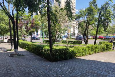 Apartament cu 2 camere decomandat, mobilat în Centrul Civic - 14