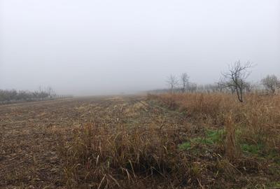 Teren intravilan 12.511 mp | Potoceni – Mărăcineni | Ideal pentru dezvoltare rez - 5