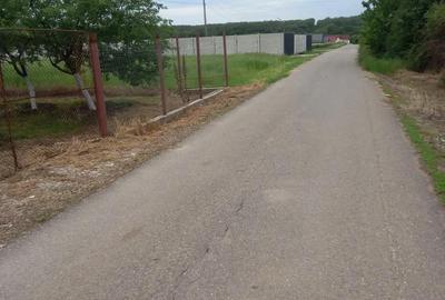 Teren de 4447 mp, în Pielești - 1
