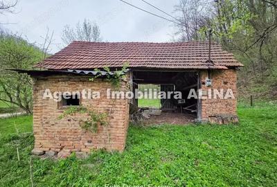 Teren intravilan 1.700 mp + 6.600 mp Padure de foioase + 1.200 mp Padure de foioase, Sat Nojag. - 14