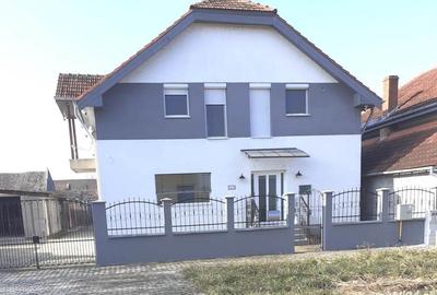 Casa si curte la Jimbolia - 1