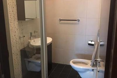 Birou de inchiriat langa Parcul Herastrau - Penthouse cu terasa - 4