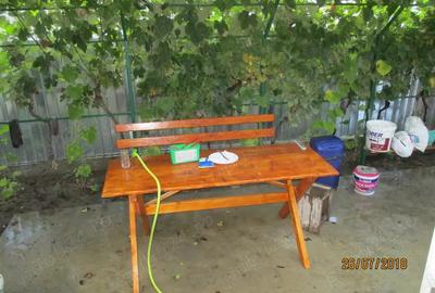 Vand casa+teren. - 6