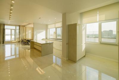 Penthouse spectaculos 291 mp cu terasa superba 450 mp in zona Mihai Bravu - 3