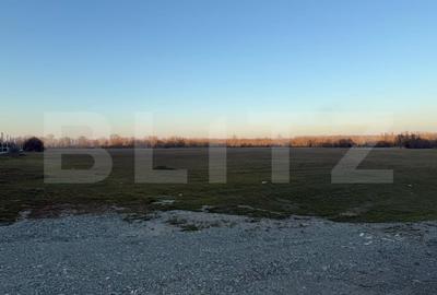 Teren Construcții intravilan de 4307 mp, în Podari - 2