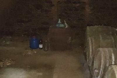 Casă cu 2 camere cu Teren 4384 Mp în Ilișua - 4