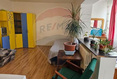 Garsoniera -Versatilitate Excelenta pe Calea Bucuresti, Brasov - 12