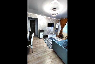 Apartament cu 2 camere semidecomandat, mobilat în Viziru 1 - 2