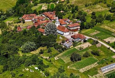 Teren de 6000 mp, în Câmp - 1