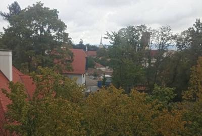 De vanzare apartament cu 2 camere in Sfantu Gheorghe - 13