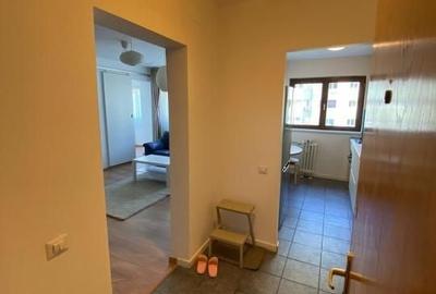 Apartament cu 2 camere semidecomandat, mobilat în Mihai Bravu - 12
